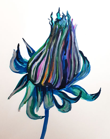 dandelion bud watercolour