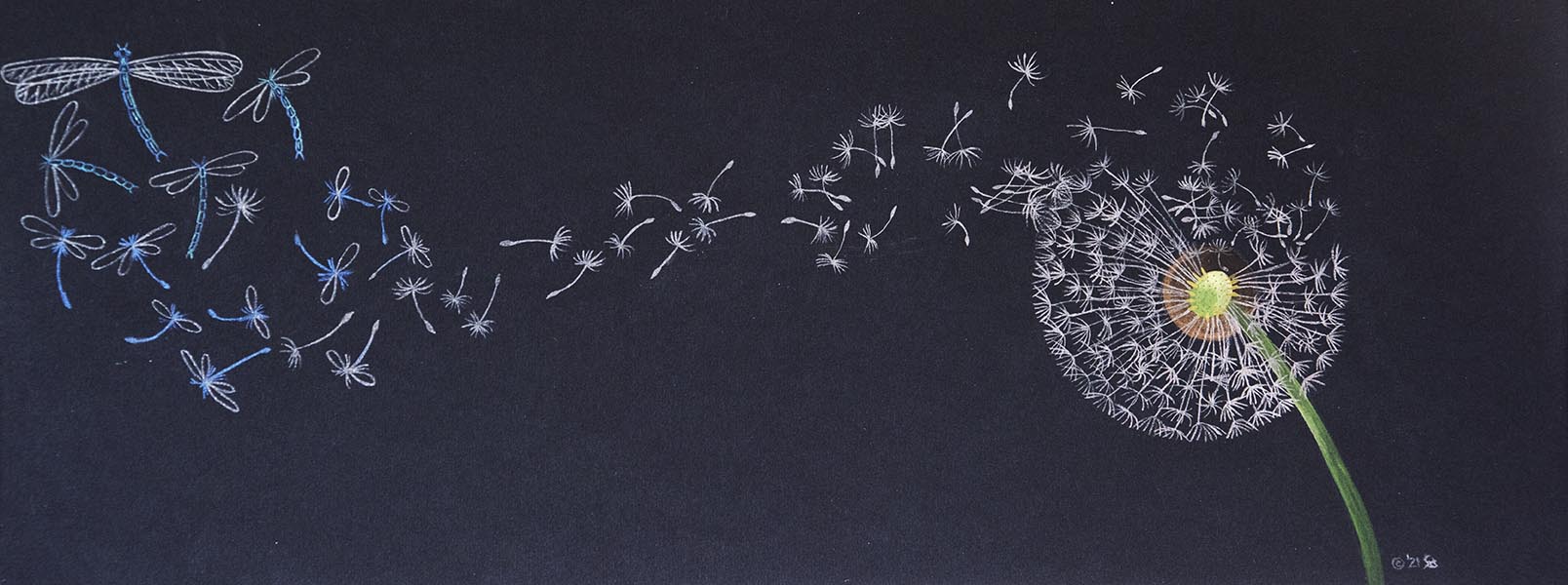 metamorphosis watercolour claire harrison art