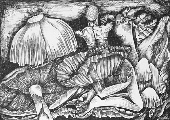 dance of nature pen and ink drawing