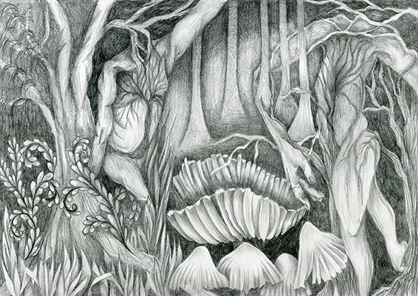 tree pencil drawing dance of nature