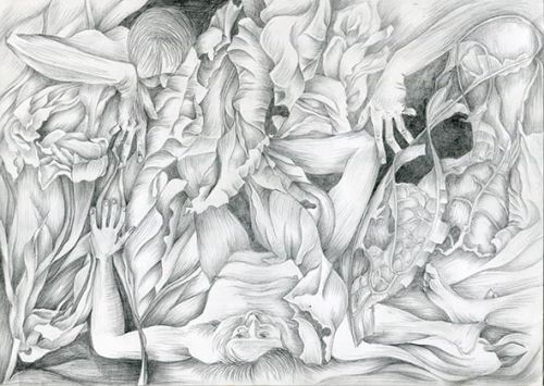 Dance of Nature 4