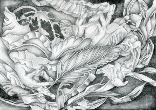 Dance of Nature 7