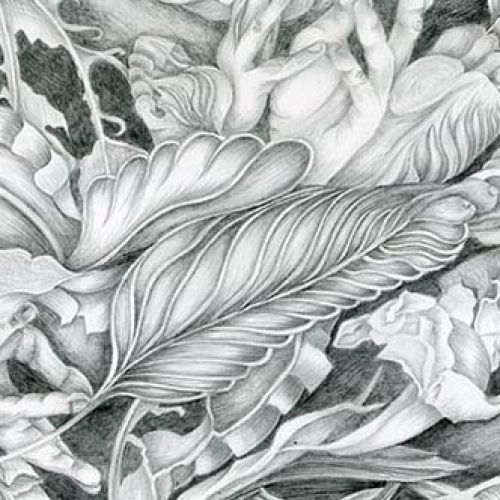 Dance of Nature 7