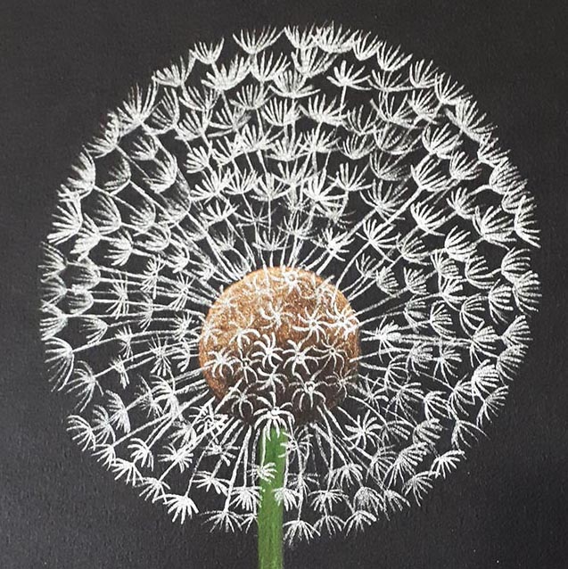 Dandelion Clock