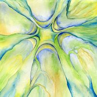 Reclaiming Nature 1
