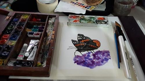 Watercolour Butterfly