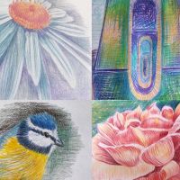 Drawing in Colour Bundle