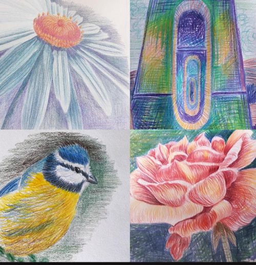 Drawing in Colour Bundle