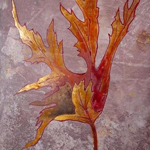 Autumn Leaf 1