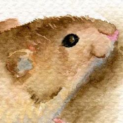 Paint Animals in Watercolour
