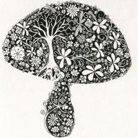 Mushroom Connections