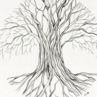 Oxygen Series #1
