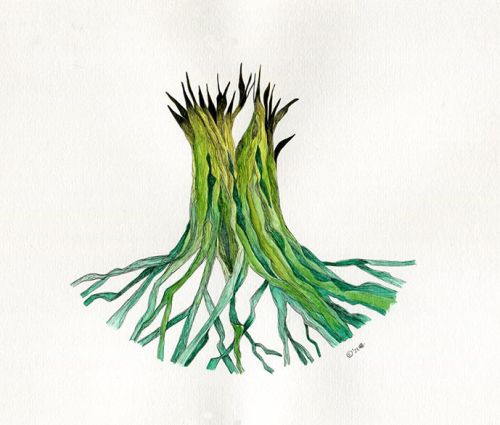 Oxygen Series #5