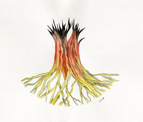 Oxygen Series #6