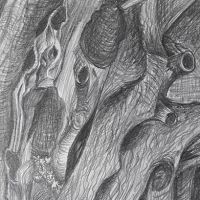 Draw Texture in Pencil