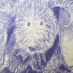 Draw in Biro with Claire