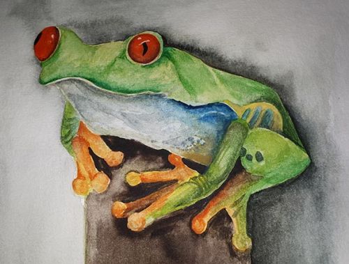 Watercolour Frog