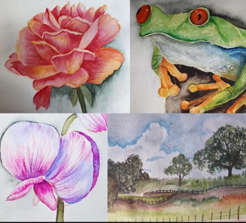 Watercolour Bundle