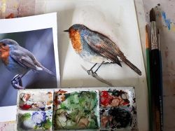 Paint a Bird in Watercolour
