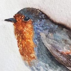 Paint a Bird in Watercolour