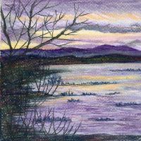 Floodplain Landscape