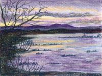 Floodplain Landscape